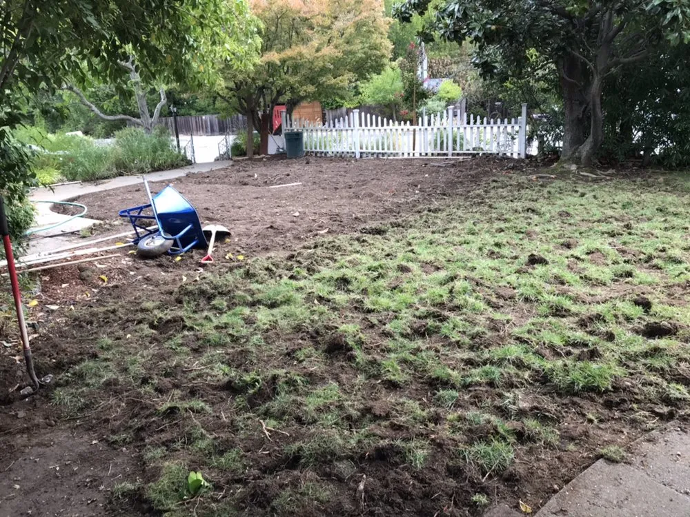 Expert residential landscaping in San Anselmo, CA - Let It Grow Landscaping