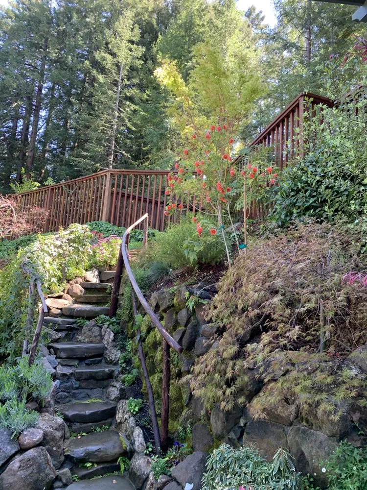 Reliable garden landscaping in San Anselmo, CA by Let It Grow Landscaping