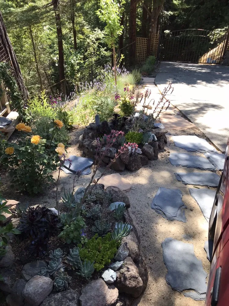 Trusted lawn care service experts serving San Anselmo, CA - Let It Grow Landscaping