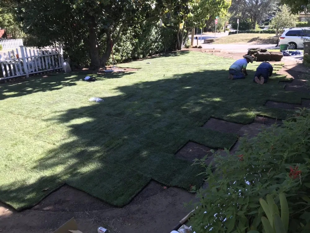 Affordable garden landscaping near you in San Anselmo, CA by Let It Grow Landscaping