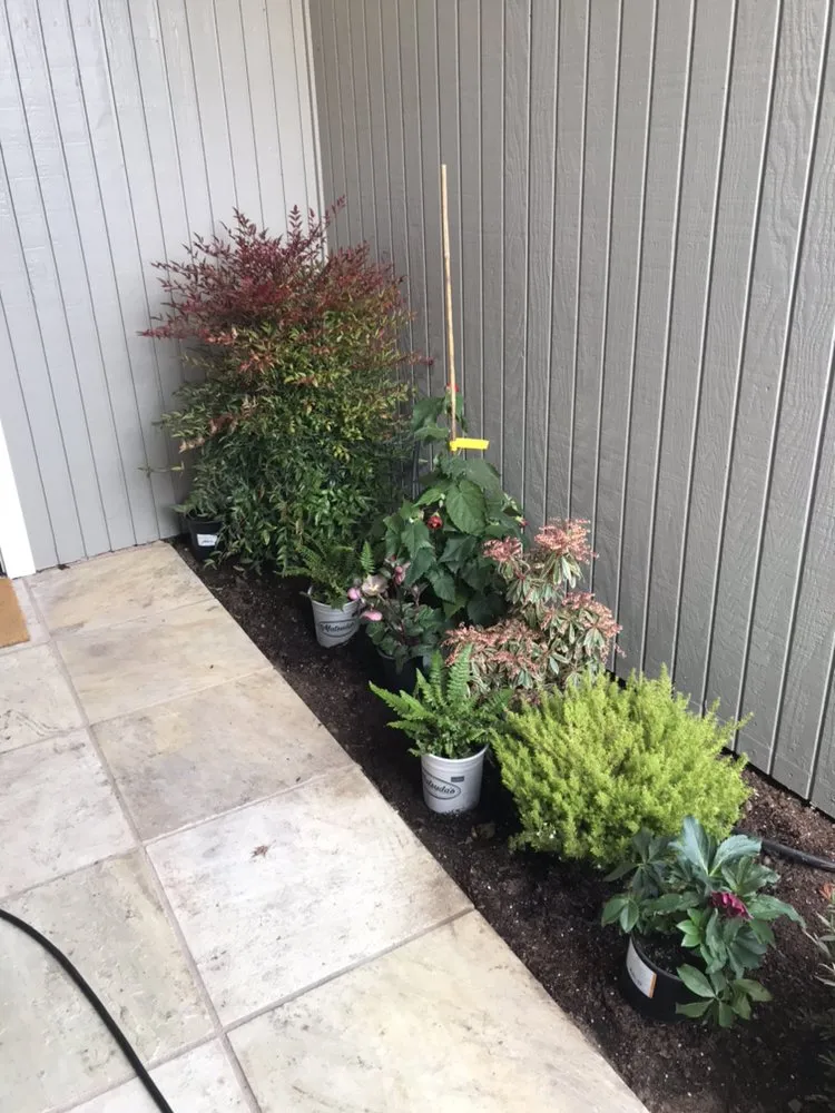 Local landscape installation in San Anselmo, CA - Let It Grow Landscaping