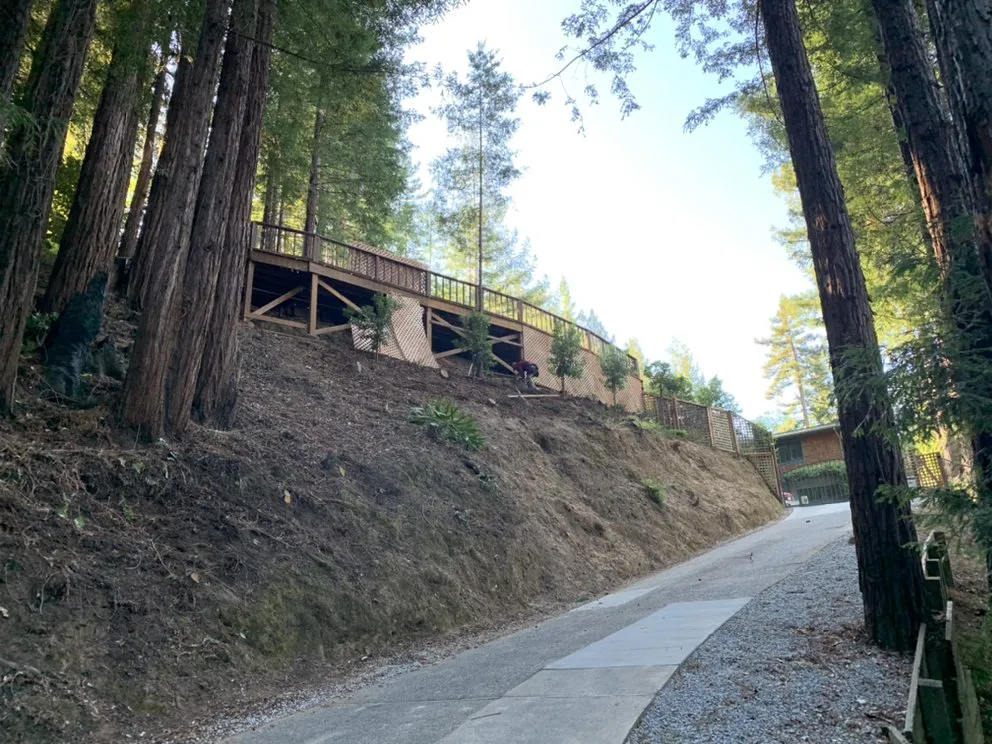 Custom landscaping services in San Anselmo, CA by Let It Grow Landscaping