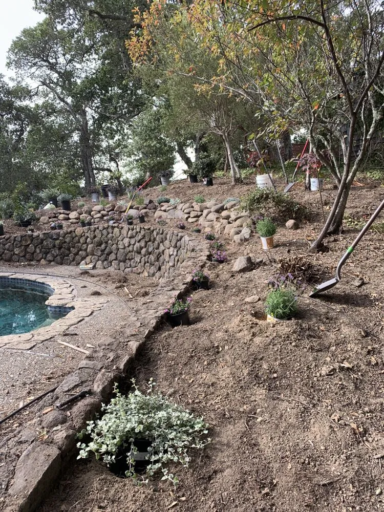 Top-rated residential landscaping experts serving San Anselmo, CA - Let It Grow Landscaping