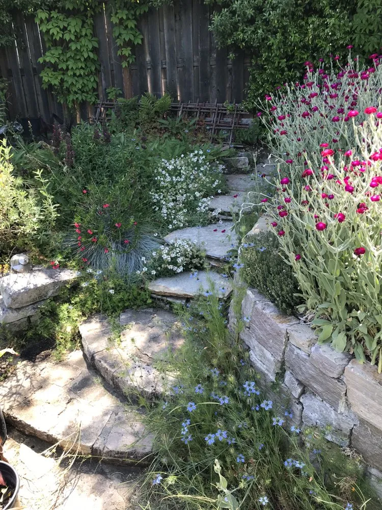 Local lawn care service for outdoor upgrades in San Anselmo, CA by Let It Grow Landscaping