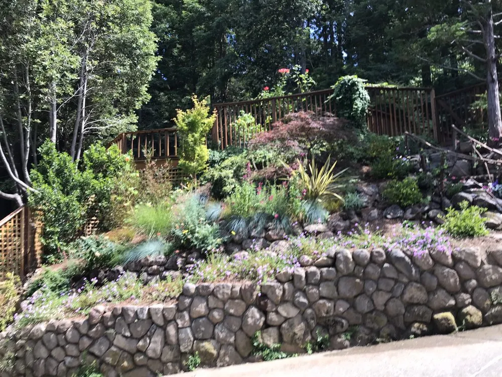Trusted yard cleanup service for homes across San Anselmo, CA - Let It Grow Landscaping