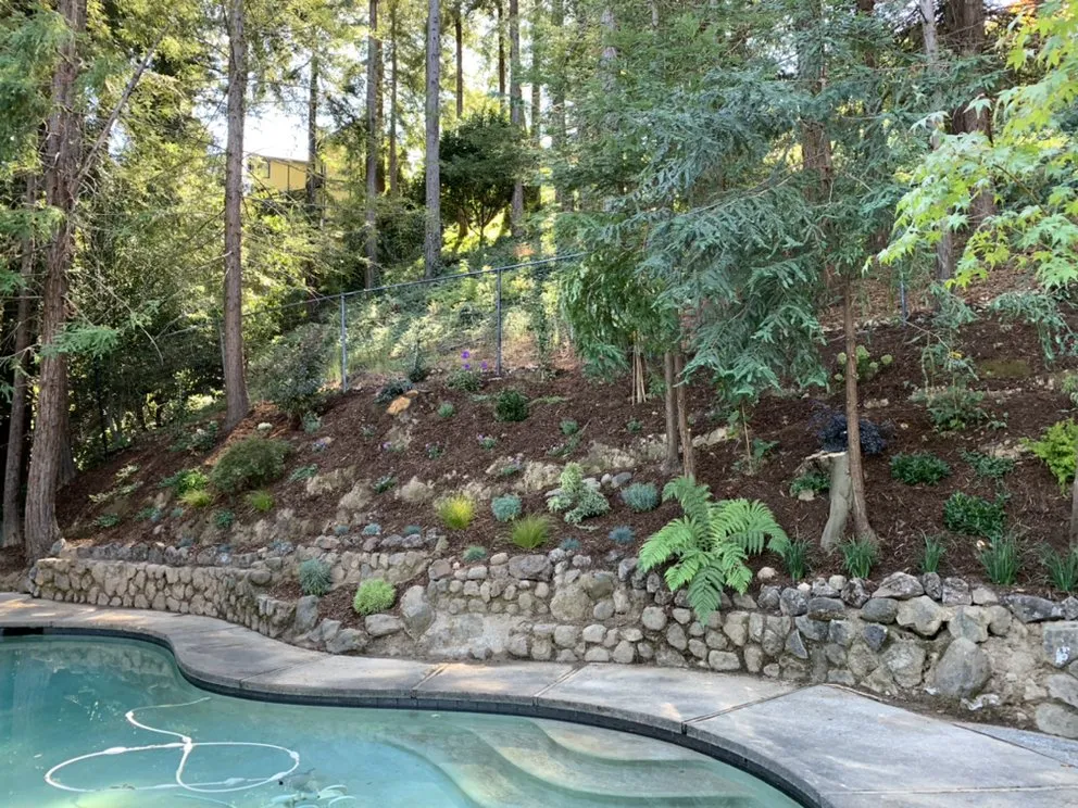 Affordable garden landscaping experts serving San Anselmo, CA - Let It Grow Landscaping