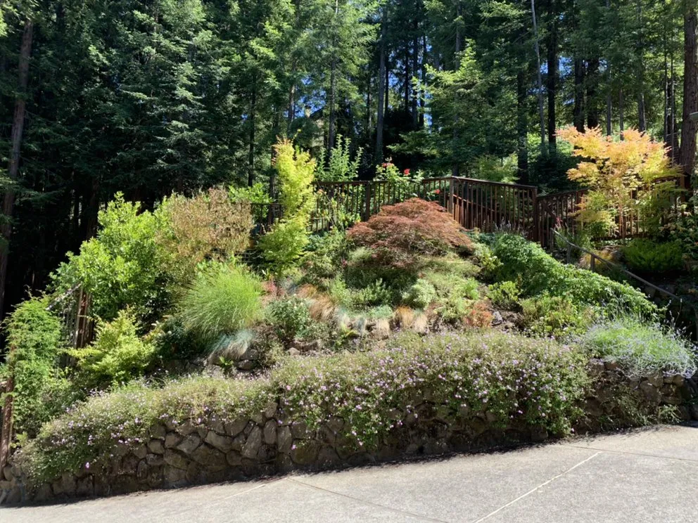 Custom landscape design in San Anselmo, CA by Let It Grow Landscaping