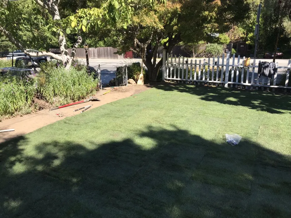 Affordable landscape installation experts serving San Anselmo, CA - Let It Grow Landscaping