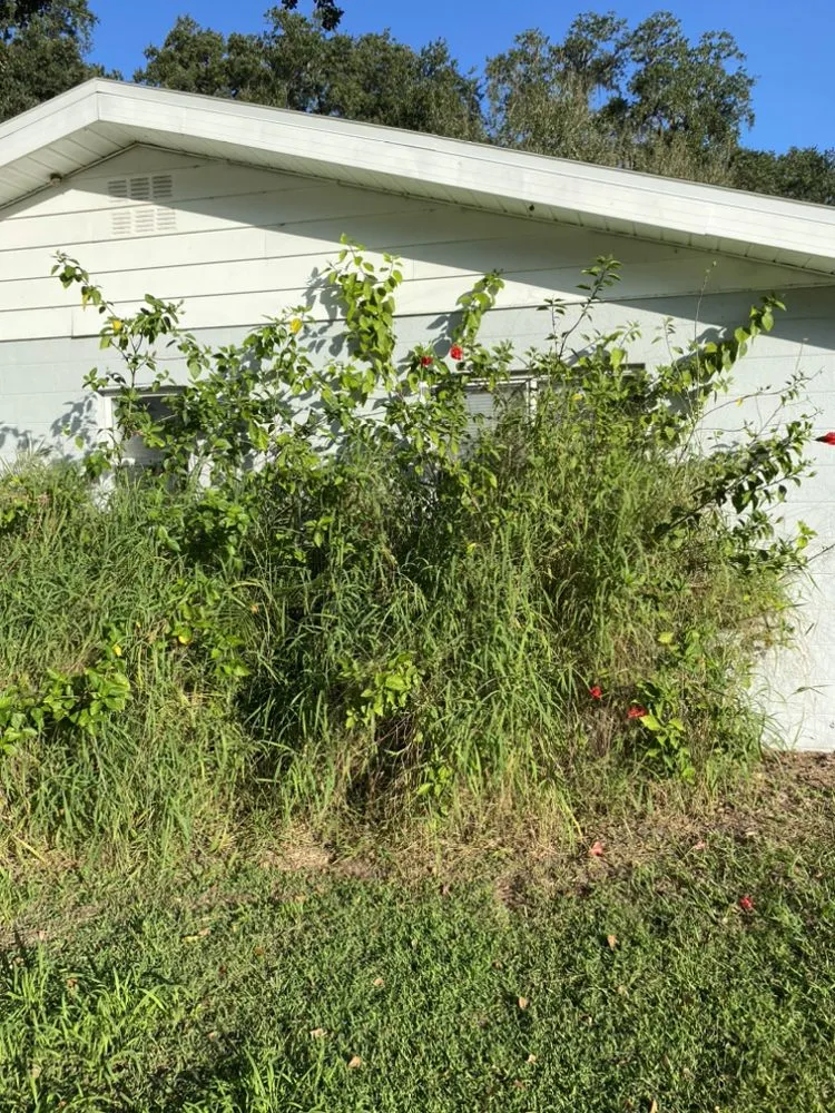 Local landscape installation for outdoor upgrades across Tampa, FL - Let It Grow Landscaping