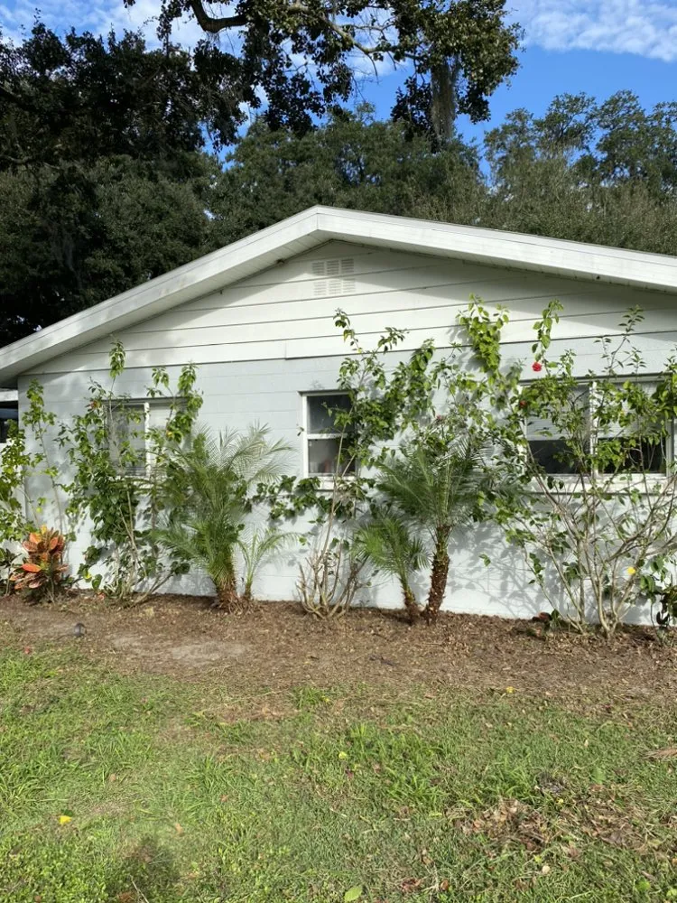 Expert landscape design experts serving Tampa, FL - Let It Grow Landscaping