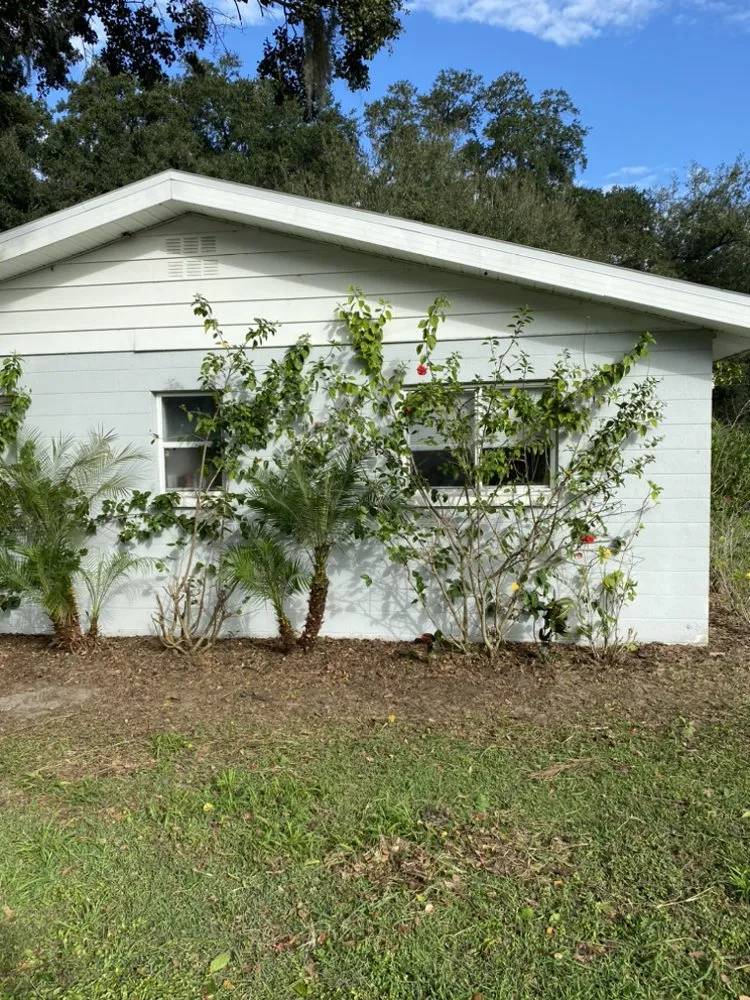 Local lawn care service experts serving Tampa, FL - Let It Grow Landscaping