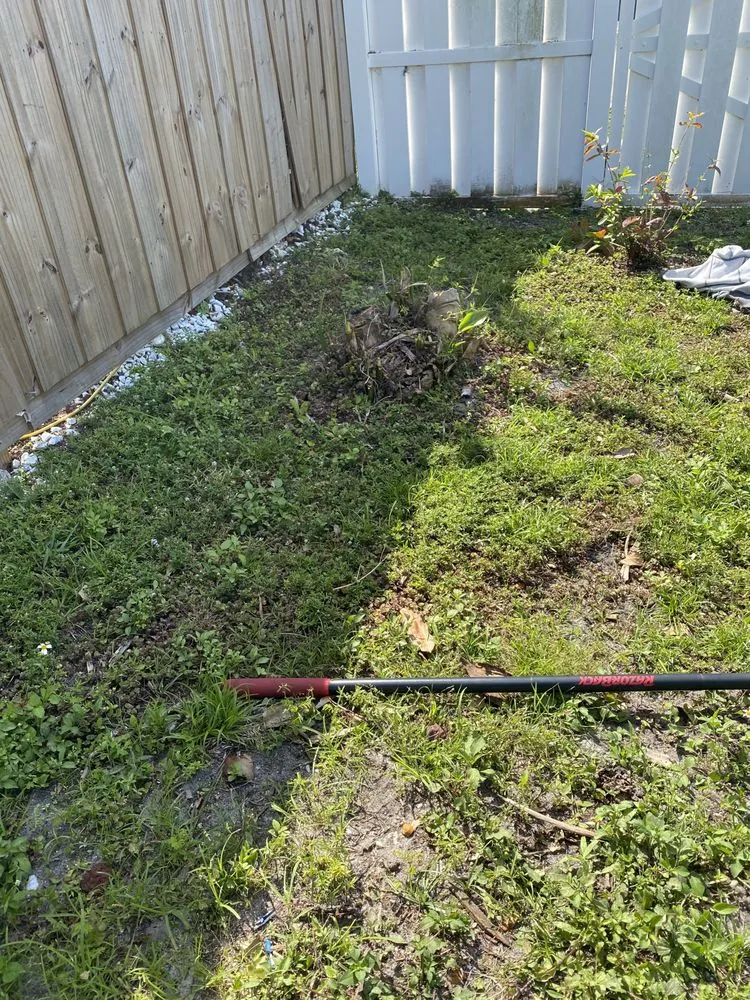 Top-rated yard cleanup service in Groveland, FL - Let It Grow Lawn Care