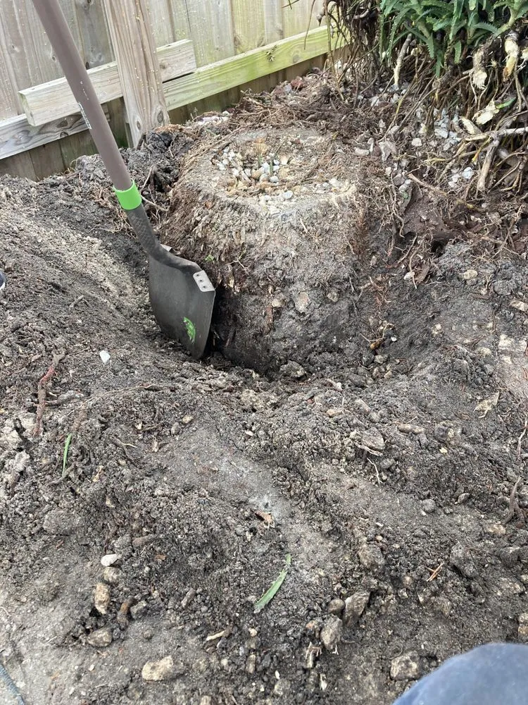 Local outdoor landscaping experts serving Groveland, FL - Let It Grow Lawn Care