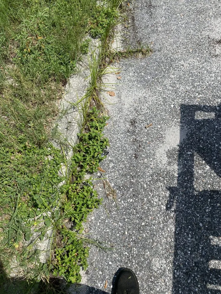 Reliable lawn mowing service in Groveland, FL by Let It Grow Lawn Care