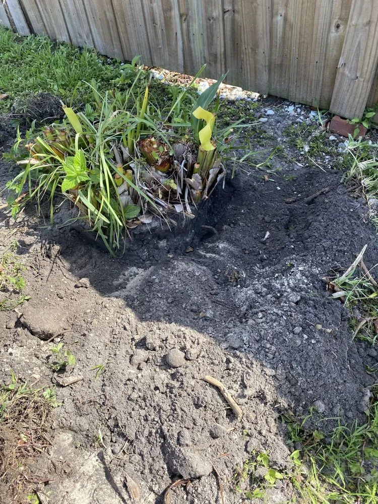 Expert landscape design experts serving Groveland, FL - Let It Grow Lawn Care