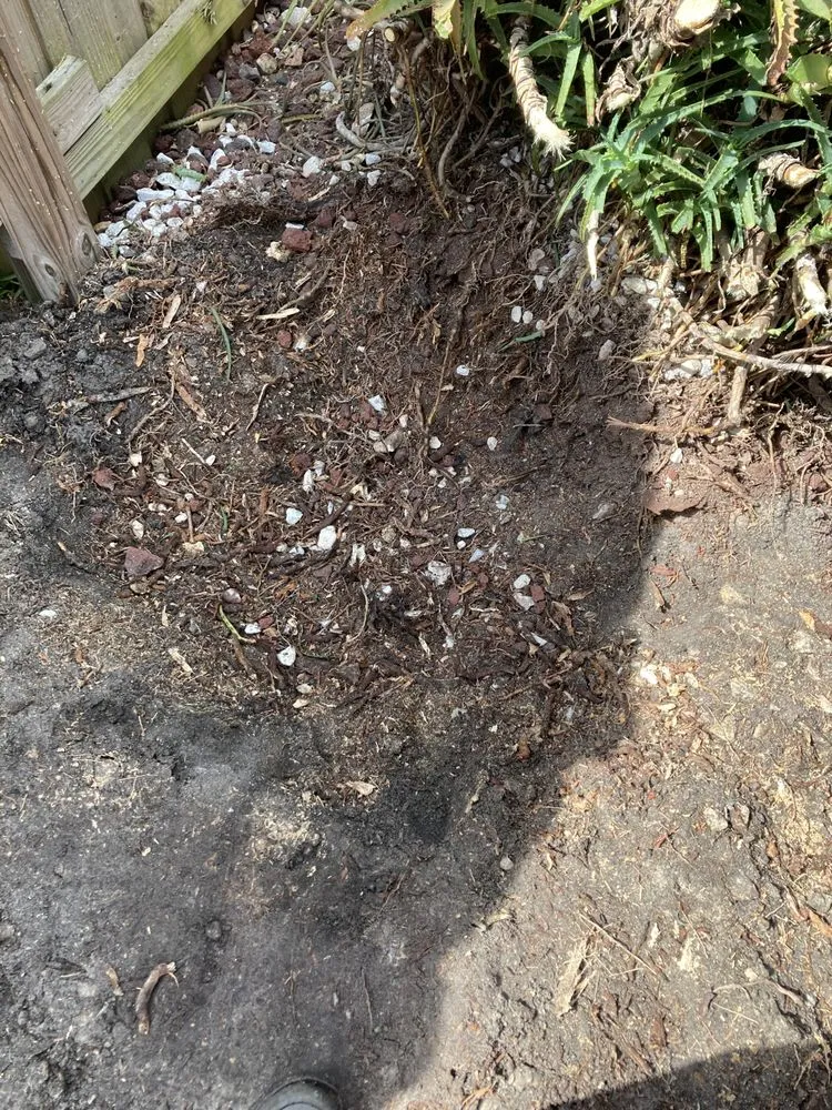 Local yard cleanup service in Groveland, FL by Let It Grow Lawn Care