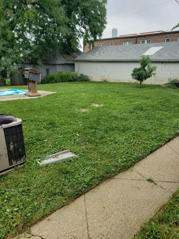 Top-rated landscaping services for beautiful yards in Omaha, NE by Let it Grow