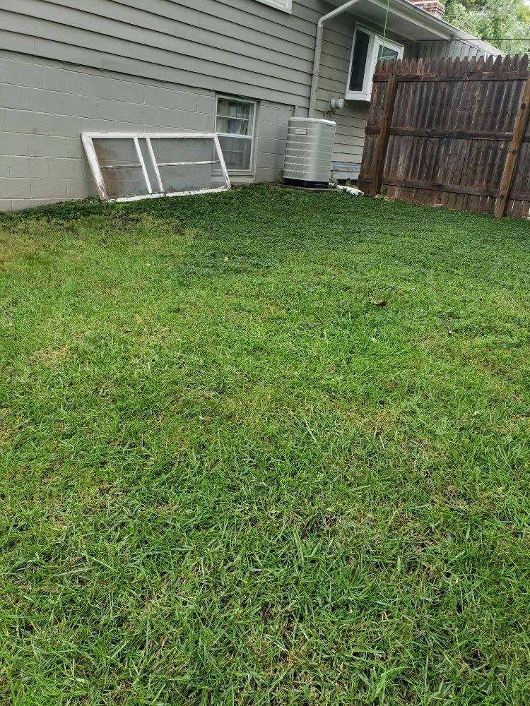 Reliable residential landscaping for beautiful yards in Omaha, NE by Let it Grow