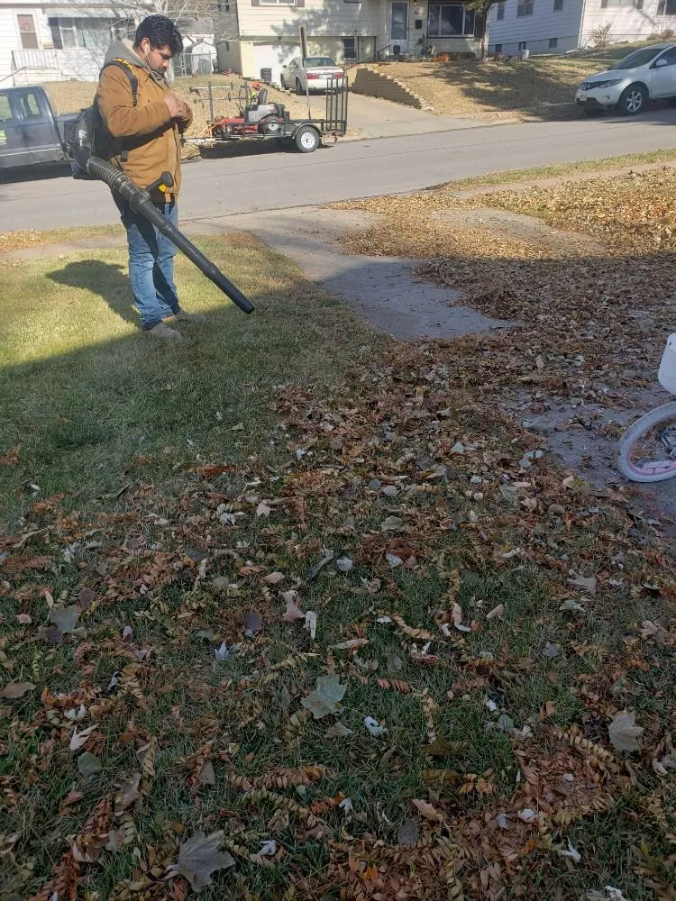 Top-rated residential landscaping experts serving Omaha, NE - Let it Grow