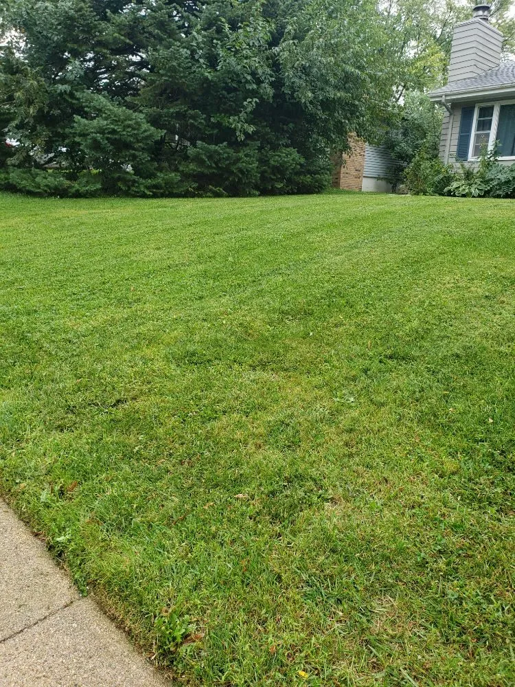 Custom garden landscaping for beautiful yards in Omaha, NE by Let it Grow