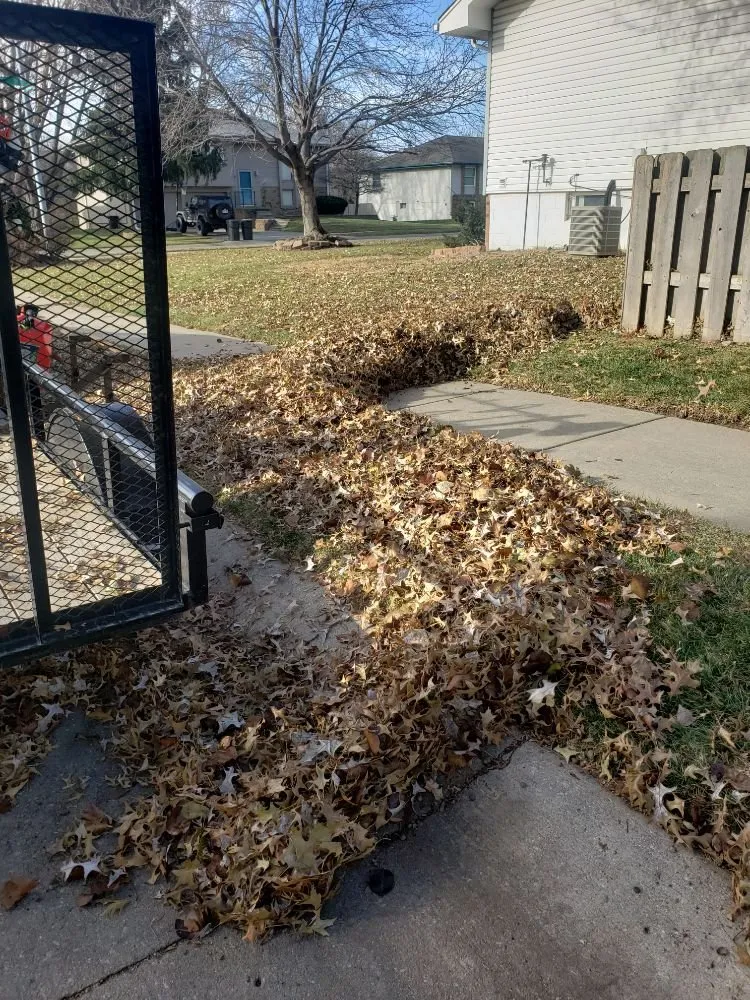 Custom yard cleanup service with custom design in Omaha, NE by Let it Grow