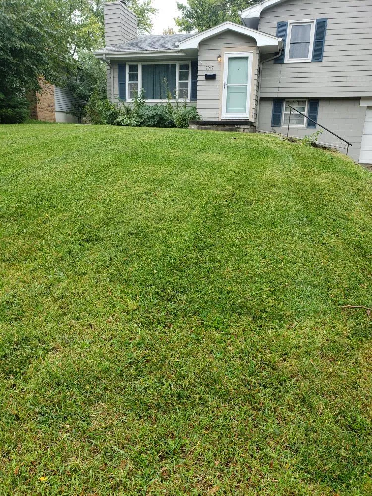 Expert yard maintenance for residential properties in Omaha, NE by Let it Grow
