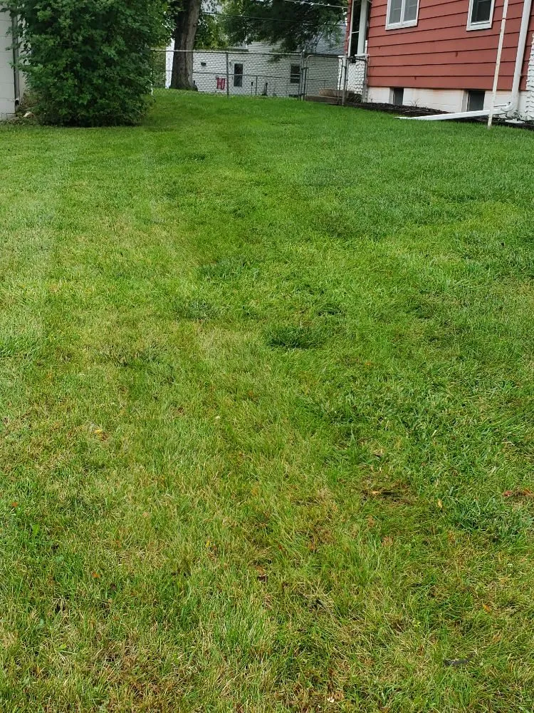 Expert lawn care service experts serving Omaha, NE - Let it Grow