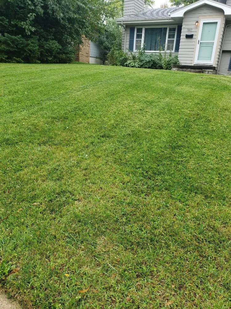 Expert residential landscaping experts serving Omaha, NE - Let it Grow