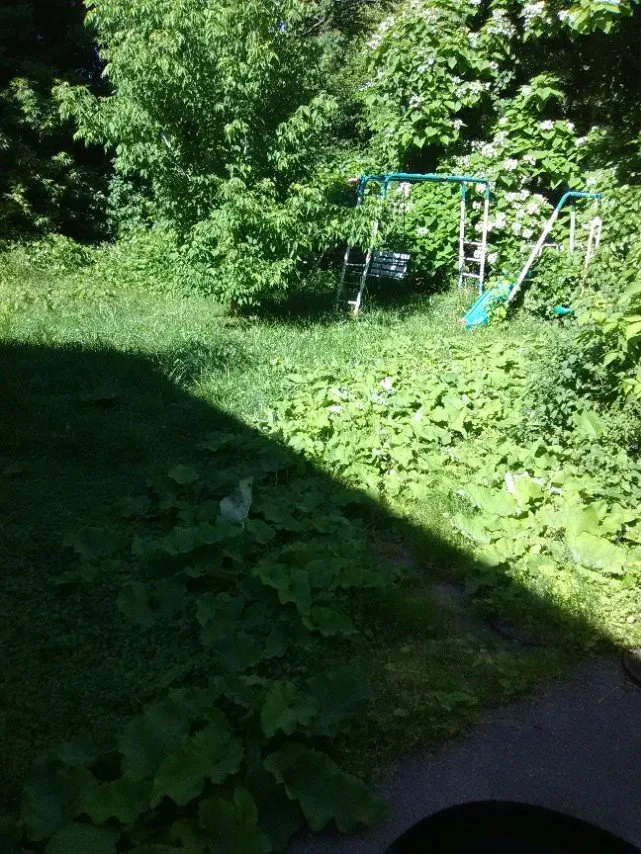 Top-rated lawn mowing service experts serving Newark, NY - Let It Snow Plowing Landscaping Company