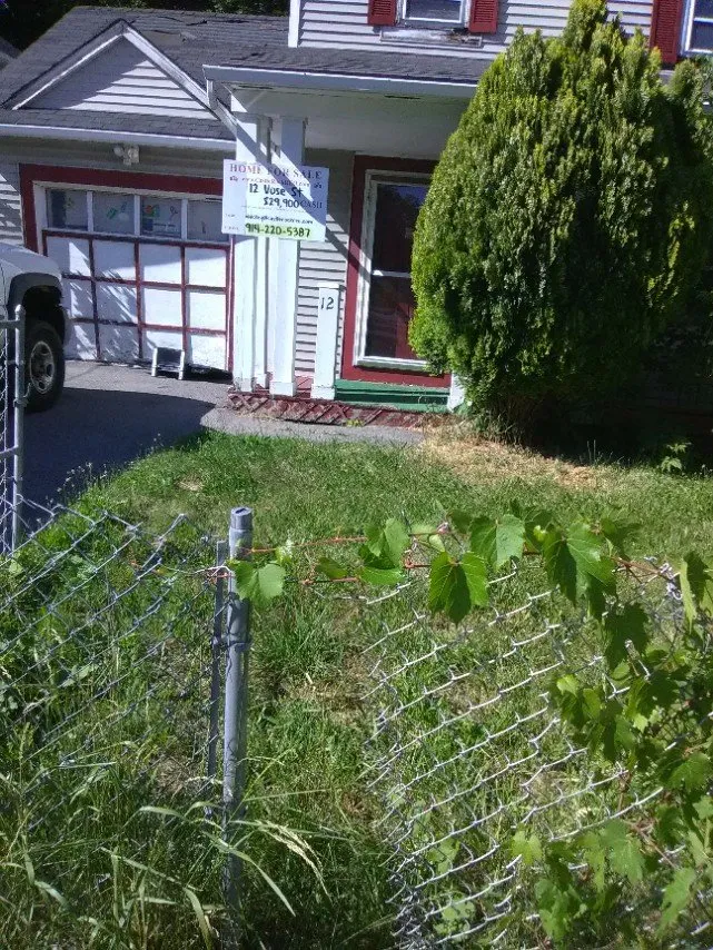 Custom landscape design in Newark, NY by Let It Snow Plowing Landscaping Company