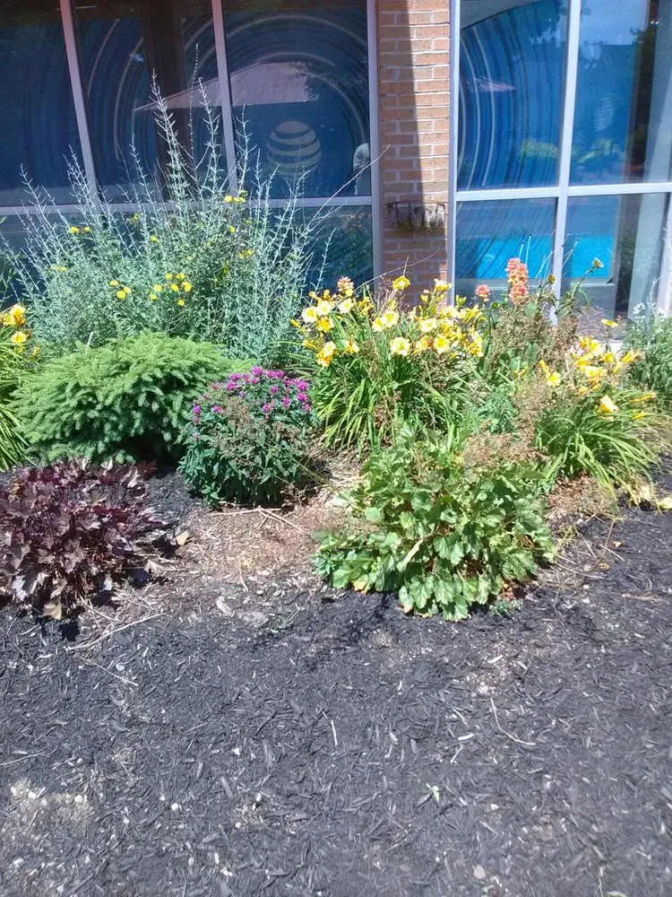 Expert landscape design in Newark, NY by Let It Snow Plowing Landscaping Company