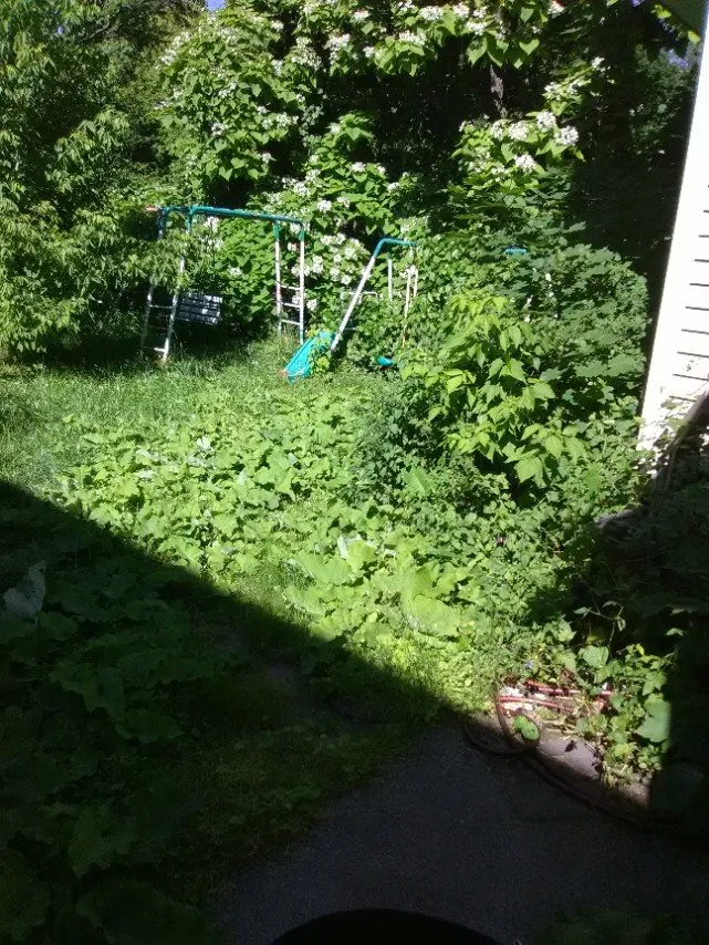 Custom lawn mowing service with custom design across Newark, NY - Let It Snow Plowing Landscaping Company