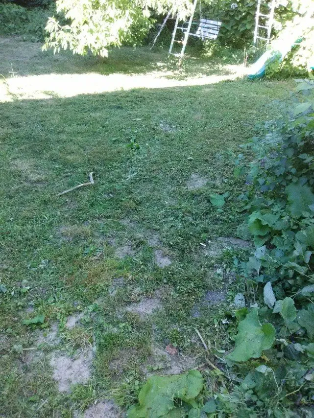 Top-rated yard cleanup service for homes across Newark, NY - Let It Snow Plowing Landscaping Company