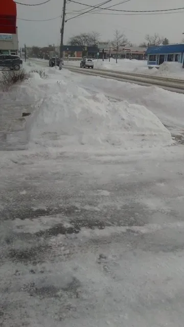 Expert yard maintenance experts serving Newark, NY - Let It Snow Plowing Landscaping Company