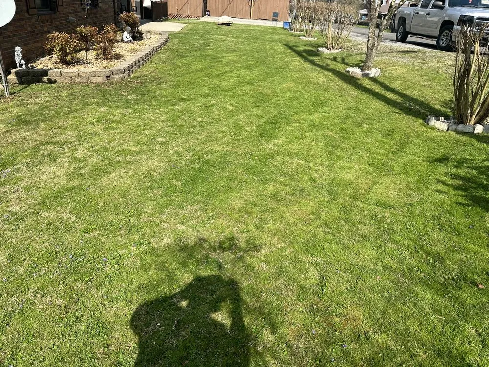 Custom lawn mowing service in Big Stone Gap, VA by Let the sunshine in