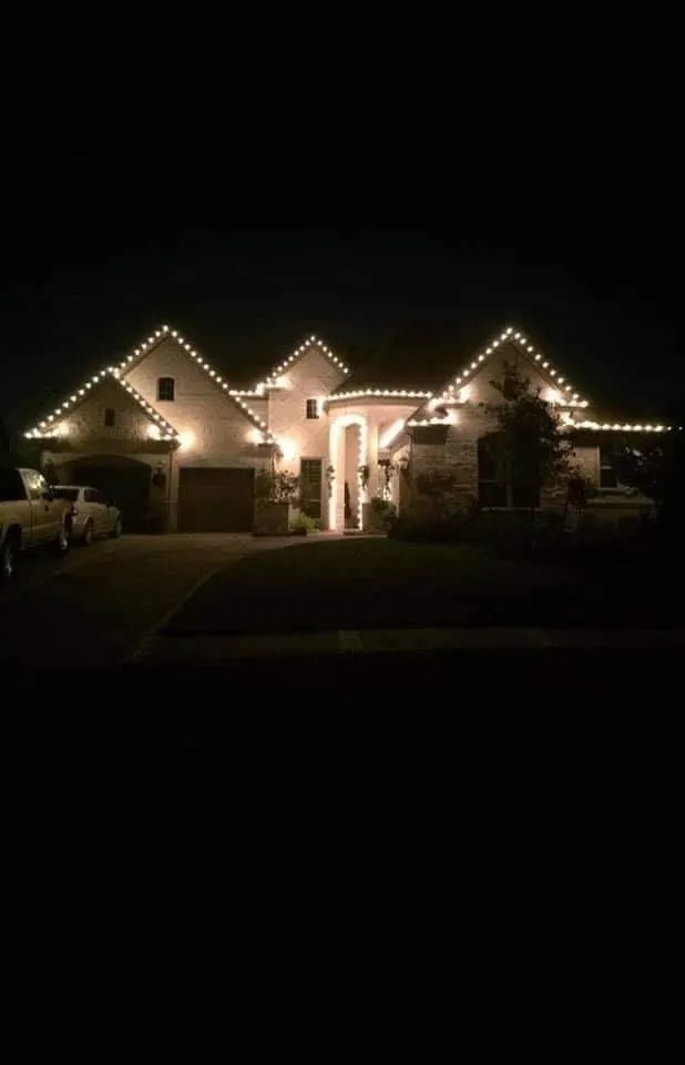 Trusted residential landscaping experts serving Alvin, TX - Let There Be Light