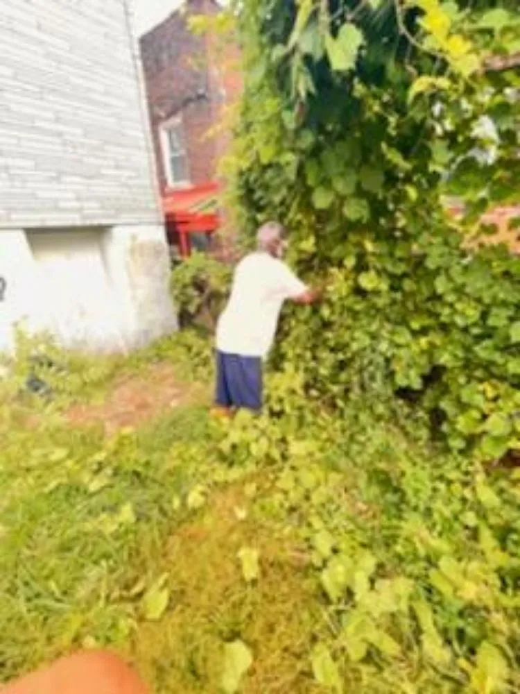 Trusted garden landscaping in Pittsburgh, PA - Let-Us-Cut-it Lawncare