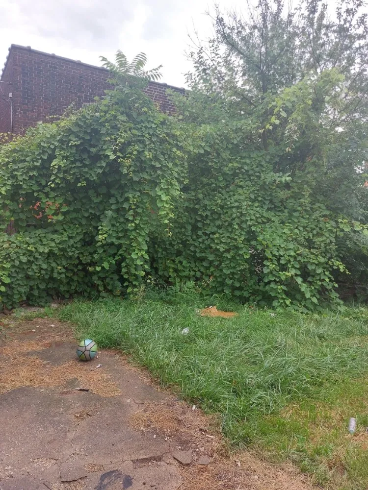 Professional lawn mowing service experts serving Pittsburgh, PA - Let-Us-Cut-it Lawncare