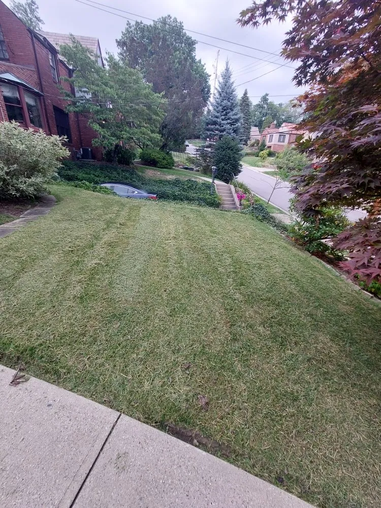 Professional landscape design experts serving Pittsburgh, PA - Let-Us-Cut-it Lawncare