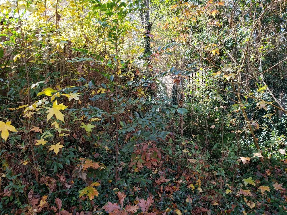 Expert landscaping services near you across Augusta, GA - Let Us Give You a Hand Landscaping