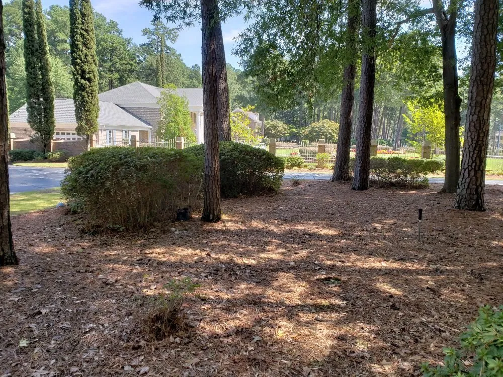 Expert yard maintenance in Augusta, GA - Let Us Give You a Hand Landscaping