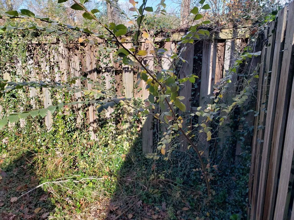 Custom garden landscaping experts serving Augusta, GA - Let Us Give You a Hand Landscaping