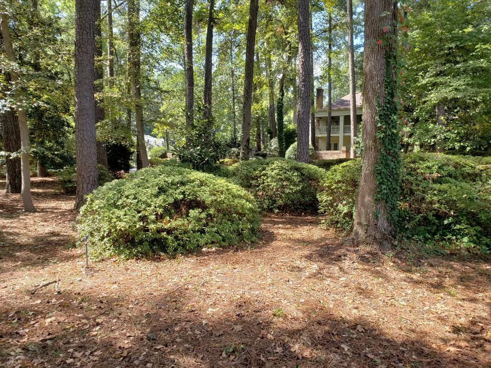 Reliable yard cleanup service with custom design across Augusta, GA - Let Us Give You a Hand Landscaping