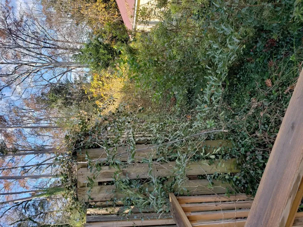 Top-rated garden landscaping for residential properties in Augusta, GA by Let Us Give You a Hand Landscaping