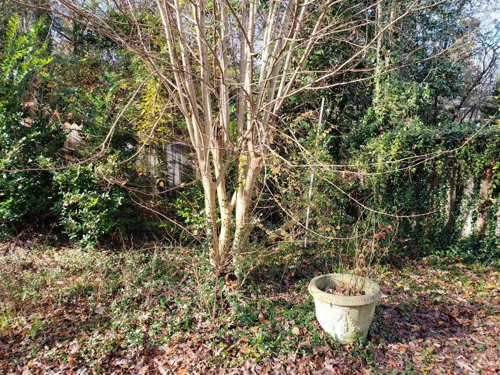 Professional garden landscaping in Augusta, GA by Let Us Give You a Hand Landscaping