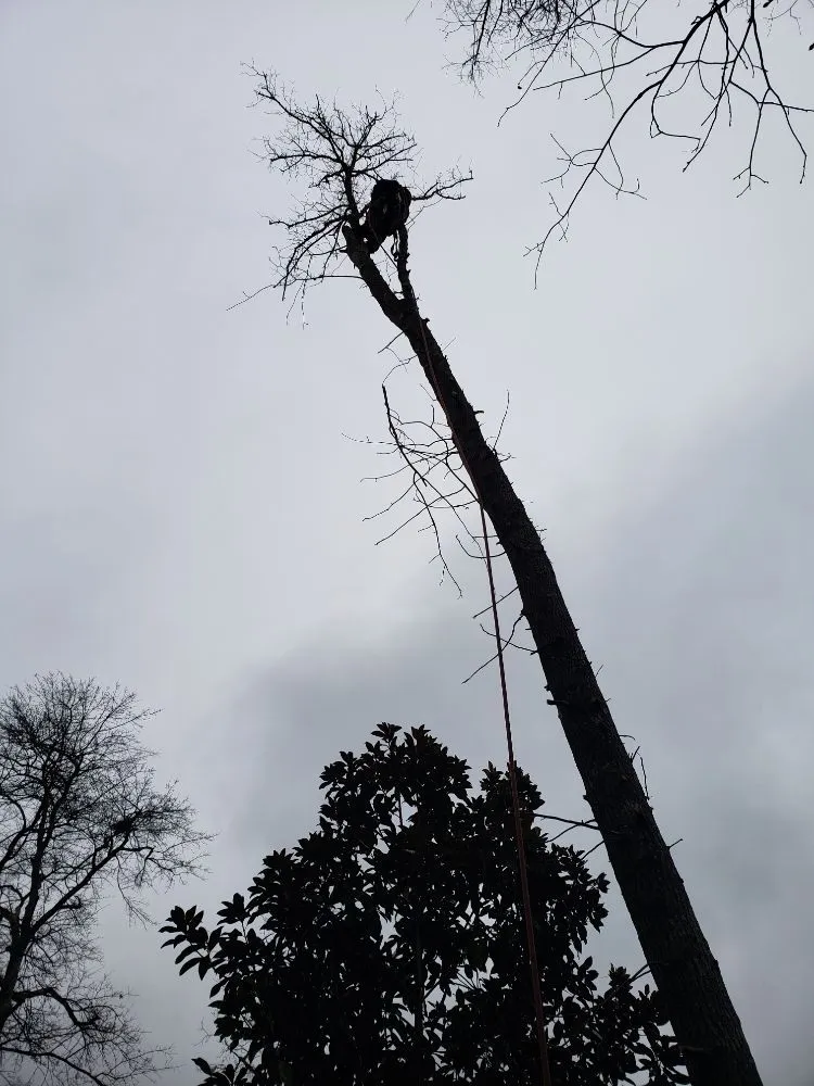 Top-rated landscape design experts serving Augusta, GA - Let Us Give You a Hand Landscaping