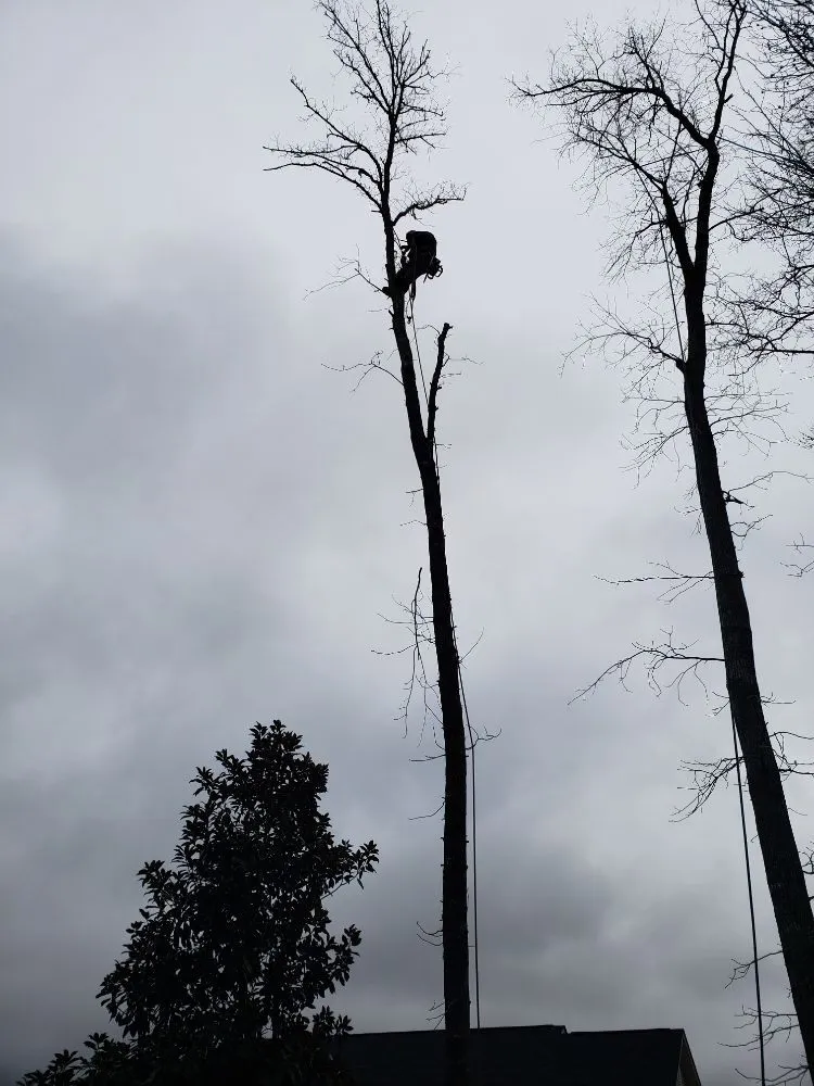 Custom outdoor landscaping for outdoor upgrades in Augusta, GA by Let Us Give You a Hand Landscaping