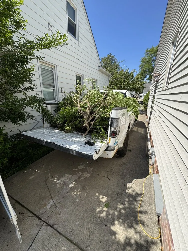 Local lawn care service in South Euclid, OH by Let’s Cut It