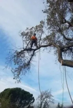Top-rated outdoor landscaping in Castro Valley, CA by Let's Do Construction