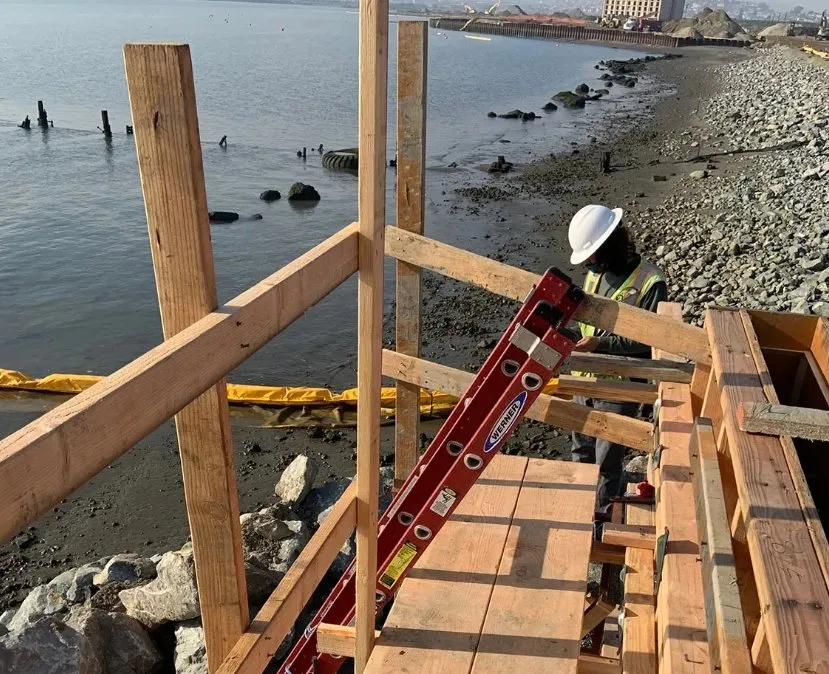 Trusted yard cleanup service near you across Castro Valley, CA - Let's Do Construction